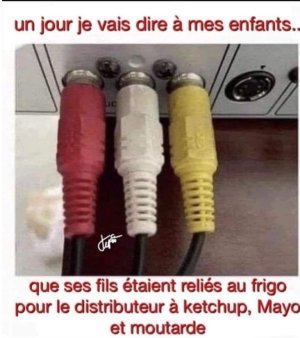 IMG_1884.jpeg