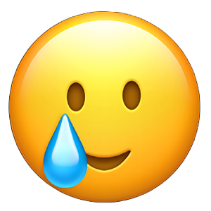 1755553095523.png