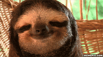 giphy-downsized.gif
