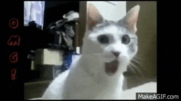200.gif