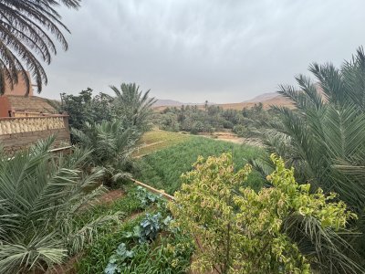 IMG_2215.jpeg