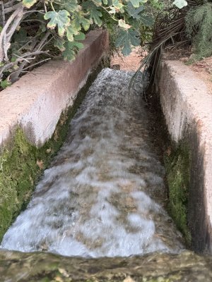 IMG_2239.jpeg