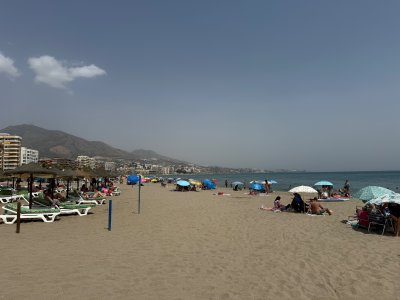 IMG_9239.jpeg