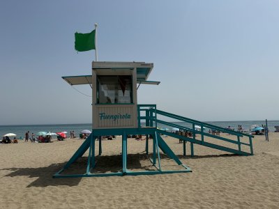 IMG_9240.jpeg