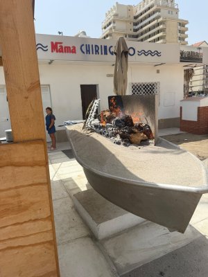 IMG_9244.jpeg