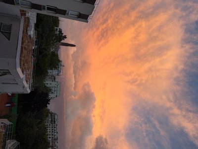 IMG_9278.jpeg