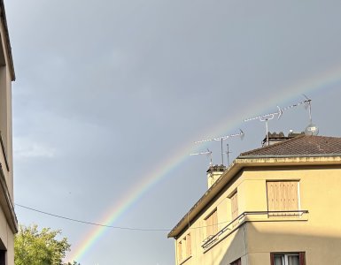 IMG_4365.jpeg
