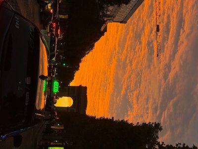 IMG_9305.jpeg