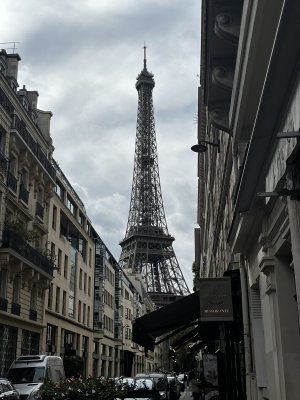 IMG_2179.jpeg