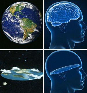 1000011103.jpg
