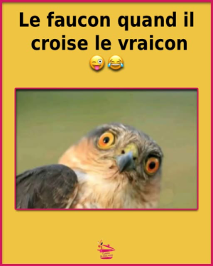 1758231662252.png