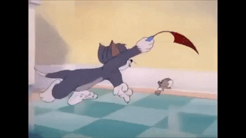 giphy.gif