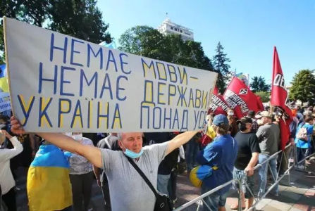 image-232.png