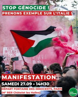 palestine manif.jpg
