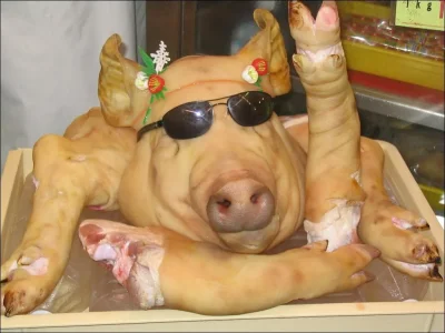 porc_vesel.jpg