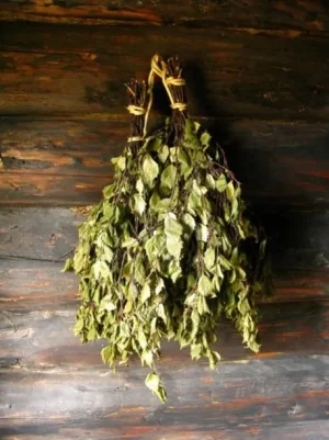 photo-saunavihta.jpg