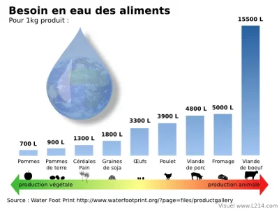 eau-aliments.png