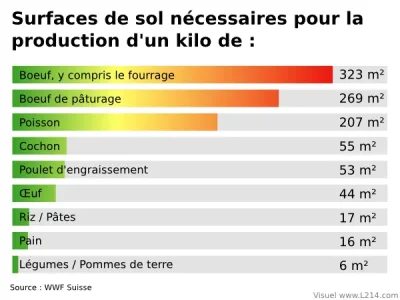 surfaces-de-sol-necessaires.png