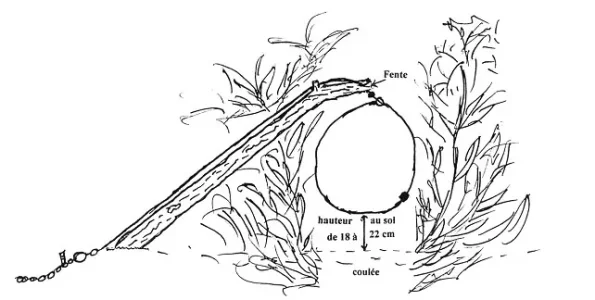 colletaarretoir.jpg