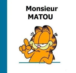 monsieur matou.jpg