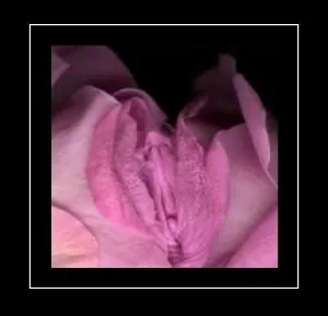 rose.jpg