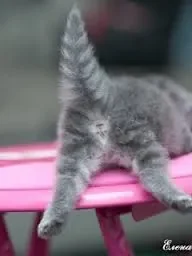 hihii.jpg