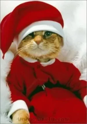 zakasoft-pere-noel.jpg