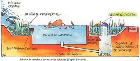 piscine-bio-shema2.jpg