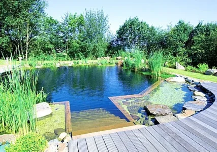 piscine-naturelle.jpg