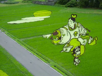 des-dizaines-de-champs-de-riz-transformes-en-superbes-oeuvres-dart-au-japon5.jpg