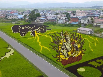 des-dizaines-de-champs-de-riz-transformes-en-superbes-oeuvres-dart-au-japon4.jpg