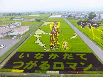 des-dizaines-de-champs-de-riz-transformes-en-superbes-oeuvres-dart-au-japon2.jpg