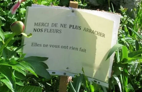 article_phototumblr.jpg