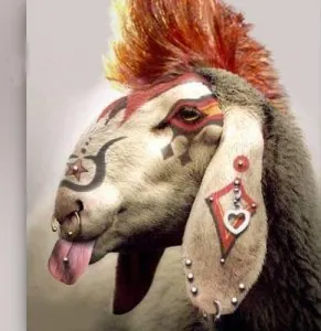 mouton-punk.jpg