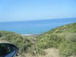 1385195_10151607607147084_25269039_n.jpg