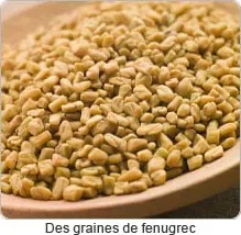 fenugrec_ps-1.jpg