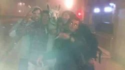 les-cinq-amis-et-le-lama-serge_136206_w250.jpg