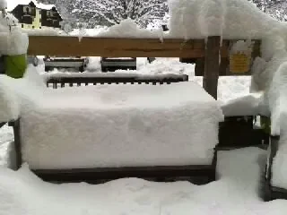 1385029069380.jpg