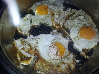 Oeuf1.JPG