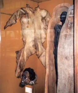 Peau-humaine.jpg