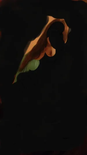 2014-01-15 14.16.01.png