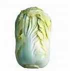 choux.jpg