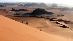 sahara2008135.jpg