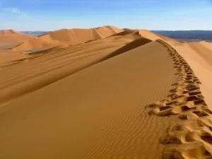 algérie159.jpg