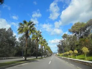 DSCN0223.JPG