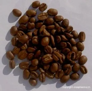 cafe.jpg