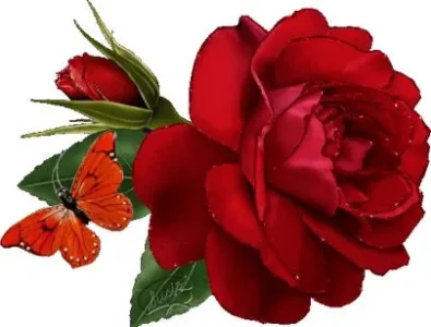rose rouge.jpg