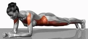 planche.jpg