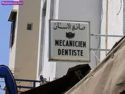 mecaden.jpg