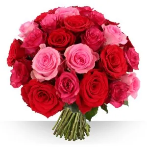 fleurs.jpg